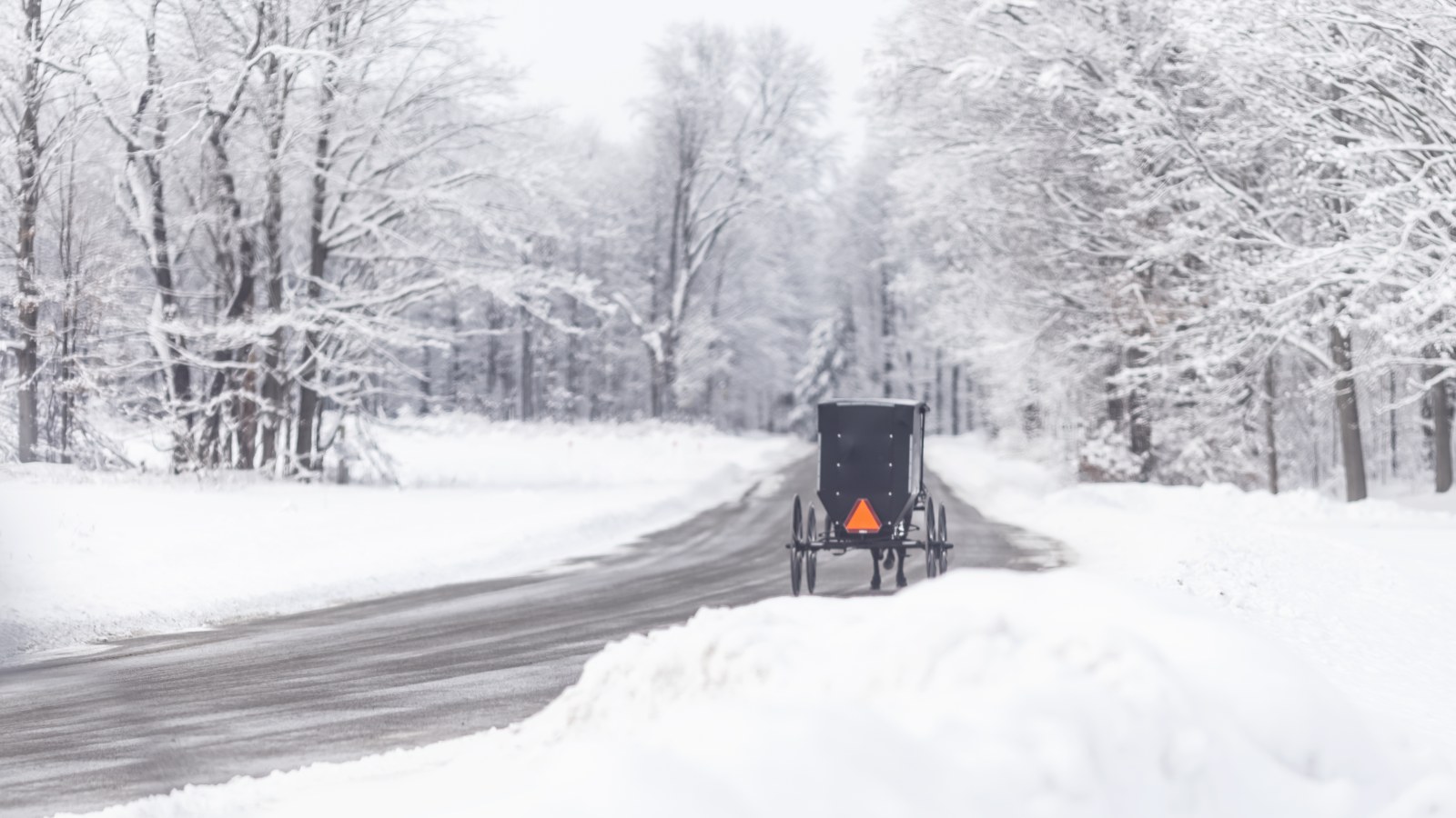 Amish Buggy on a Winter day
