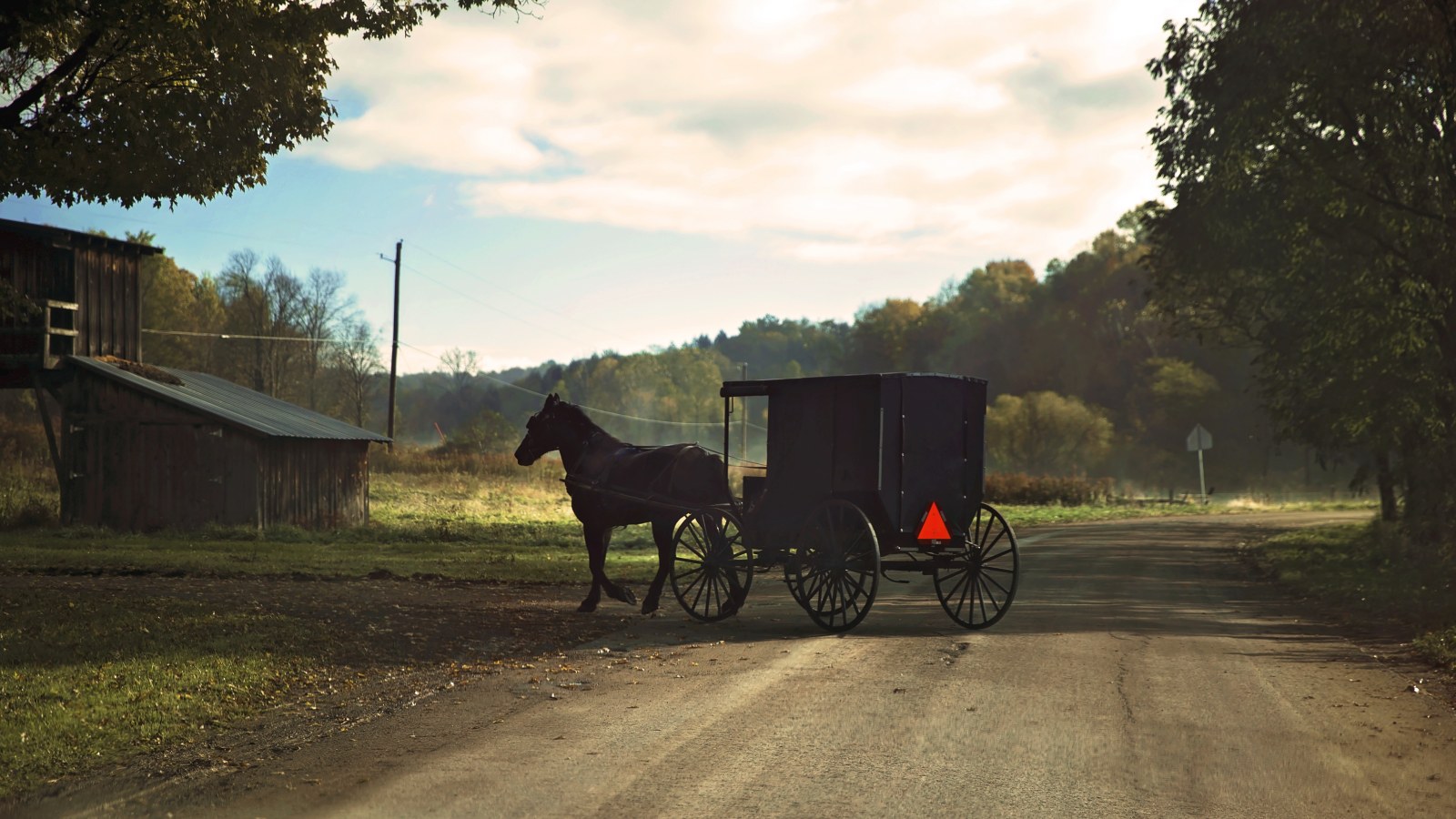 Horse and buggy pulling into a drive way on the Amish Trail in Cattaraugus County