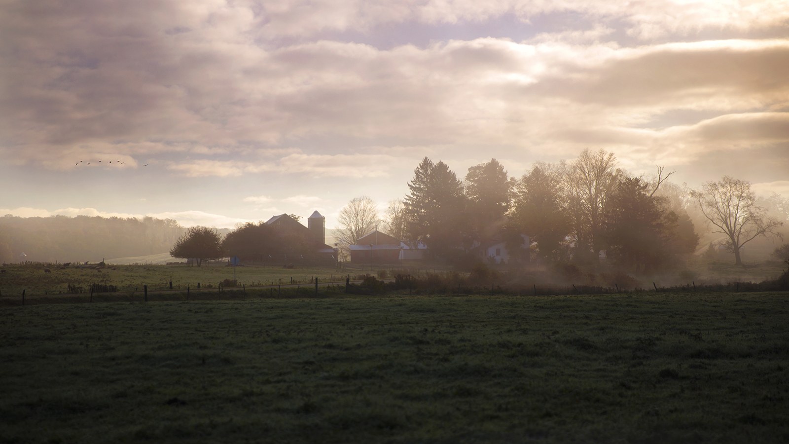 Morning in Amish Country